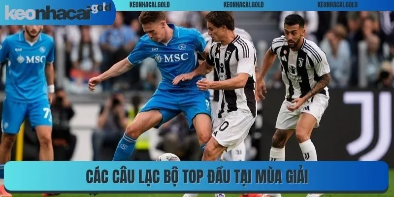 Các câu lạc bộ top đầu tại mùa giải