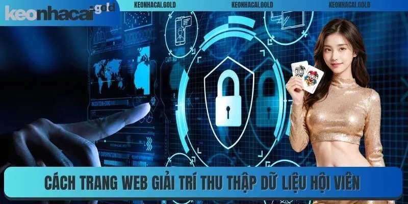 Cách trang web giải trí thu thập dữ liệu hội viên trực tuyến