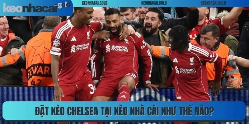 Đặt kèo Chelsea tại kèo nhà cái như thế nào?