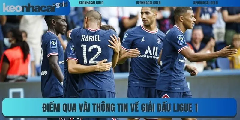 Điểm qua vài thông tin về giải đấu Ligue 1