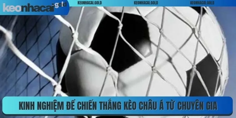 Kinh nghiệm để chiến thắng kèo châu Á từ chuyên gia