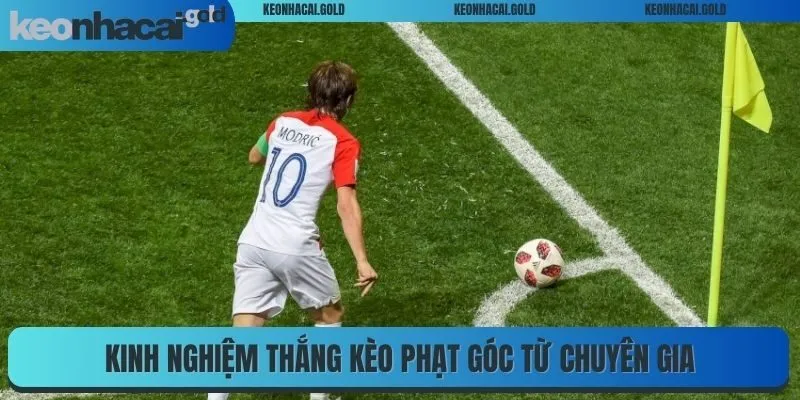 Kinh nghiệm thắng kèo phạt góc từ chuyên gia