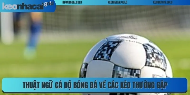 Thuật ngữ cá độ bóng đá về các kèo thường gặp