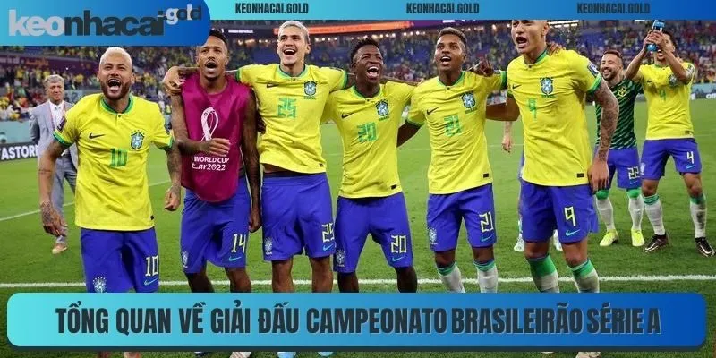 Tổng quan đôi nét về giải đấu Campeonato Brasileirão Série A
